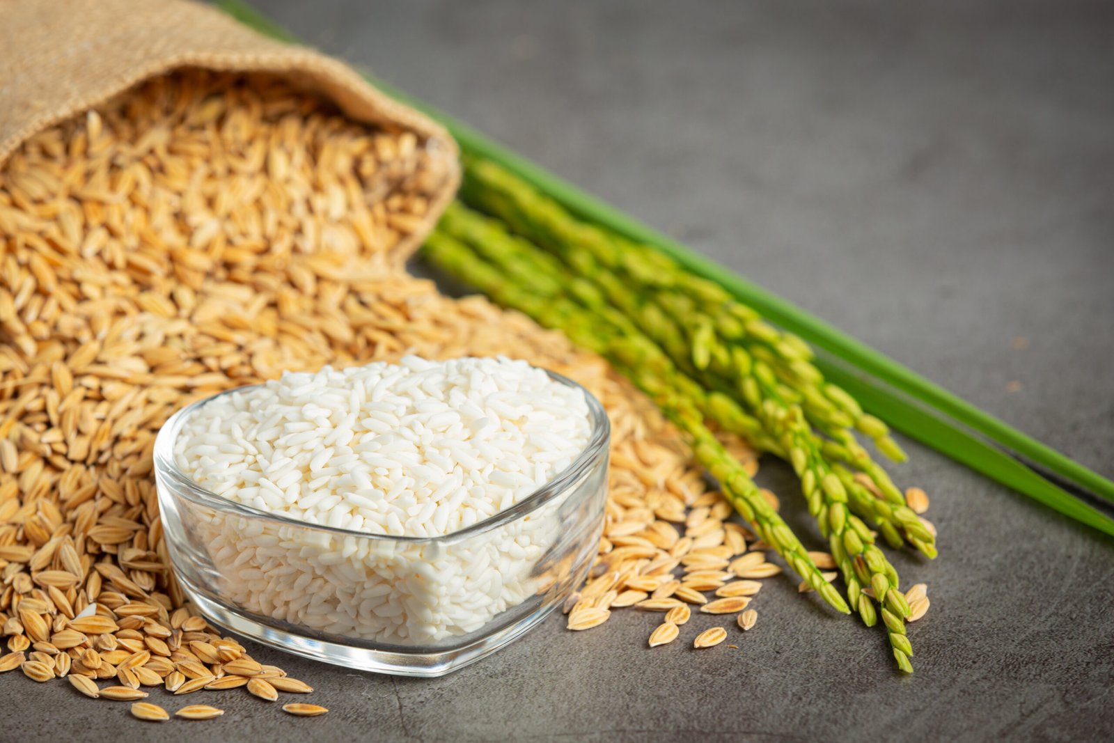 sack rice seed with white rice small glass bowl rice plant scaled