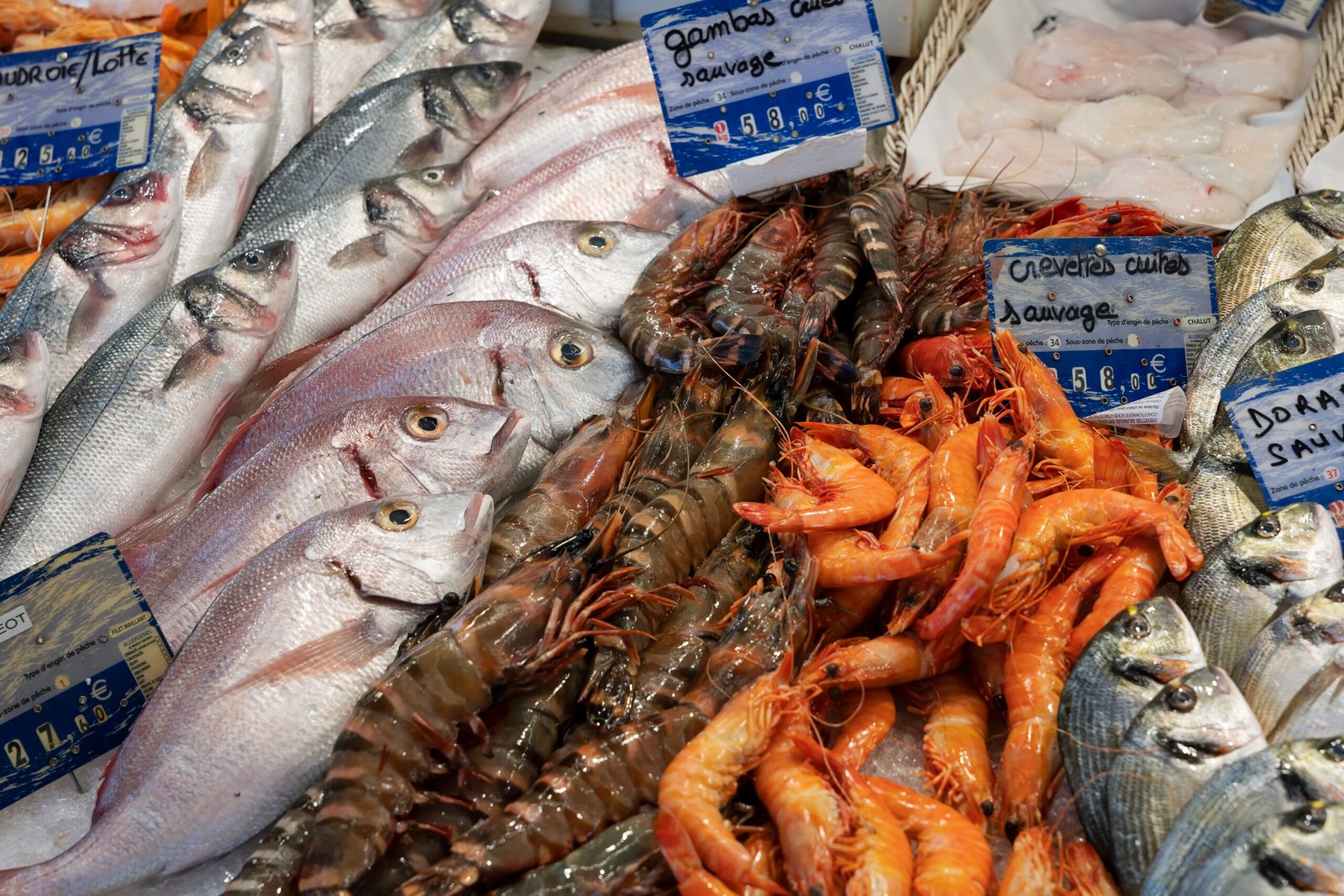 view fish stall market sanarysurmer scaled